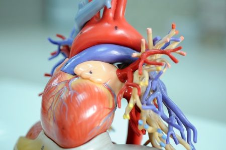 Pericarditis: Symptoms, Causes, Diagnosis, Treatment, Complications